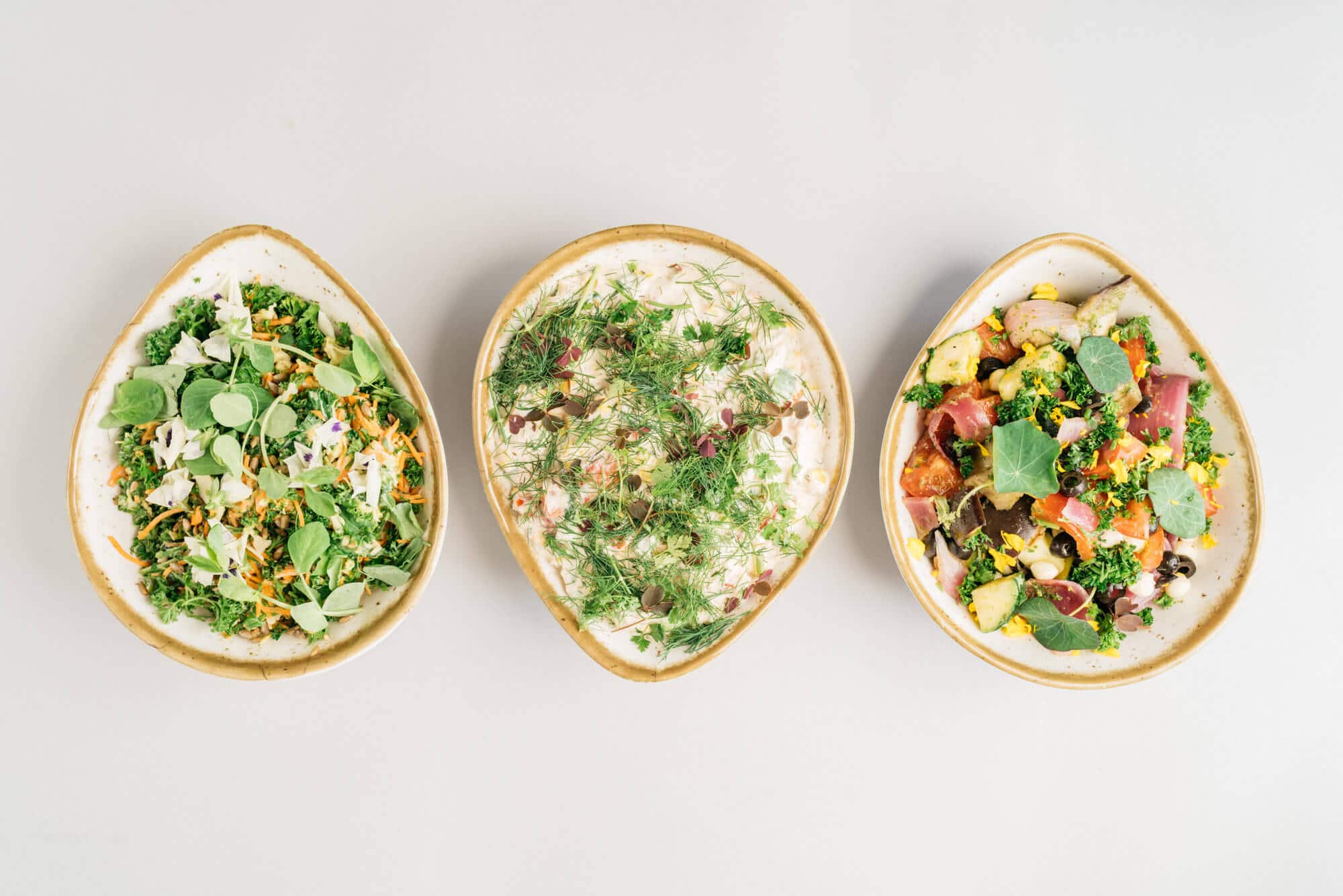 Global Gastro